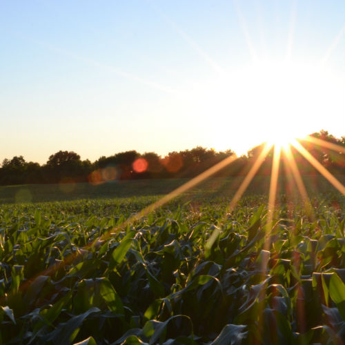 USDA Rural Development Home Loans